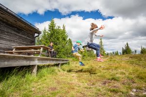 Why Is Lead Exposure Higher In The Summer